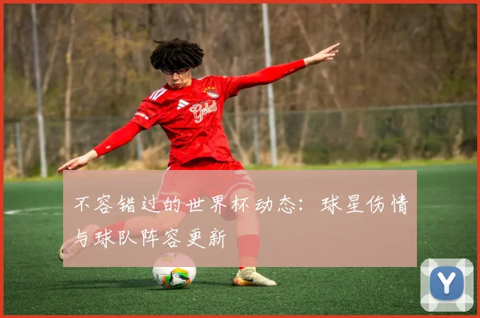 不容错过的世界杯动态:球星伤情与球队阵容更新